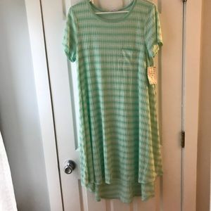 NWT Large Lularoe Carly - mint and white