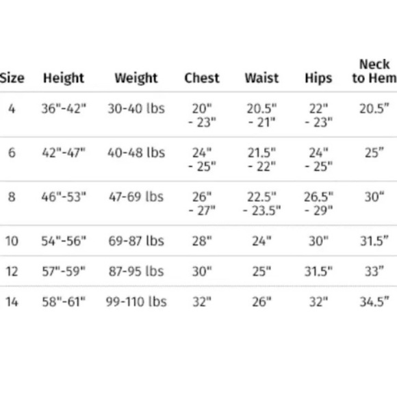 HP! NEW - Ultimate -Frozen- Blue Elsa costume - Picture 3 of 4