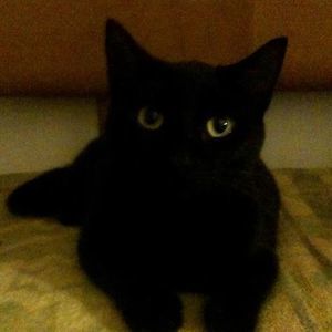 Meet your Posher, Aurora