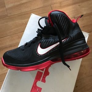 Lebron Shoes
