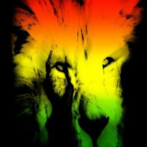 Meet your Posher, Nigel