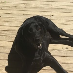 Meet your Posher, Eric