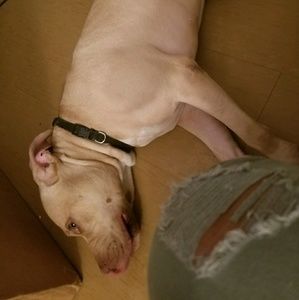 Meet your Posher, Stacey