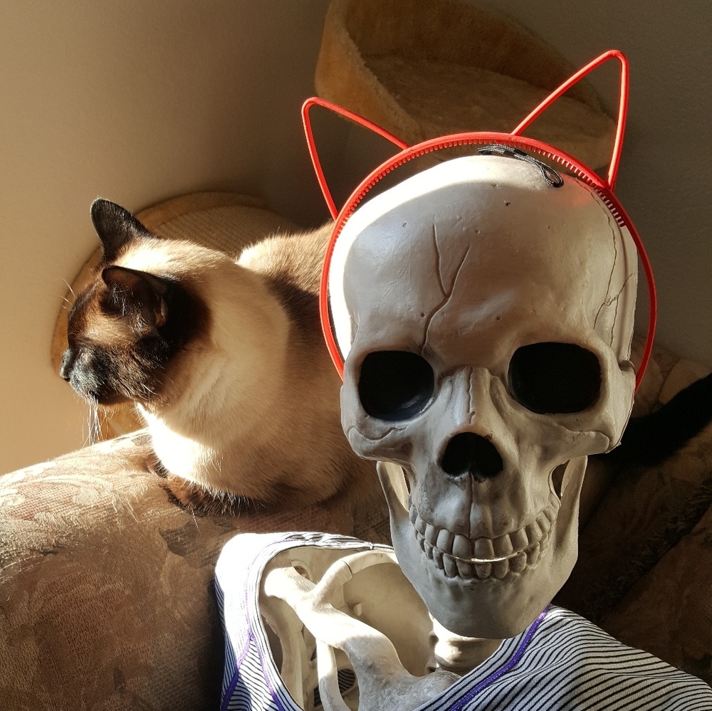 NWOT Red Cat Ears Headband