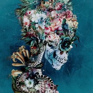 Meet your Posher, Abi