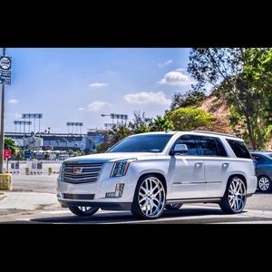 Meet your Posher, Warrick