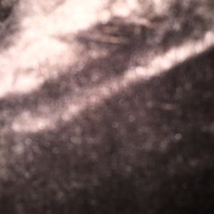 Meet your Posher, Misty