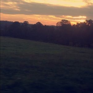 Meet your Posher, Marisol