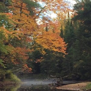 Meet your Posher, Craig