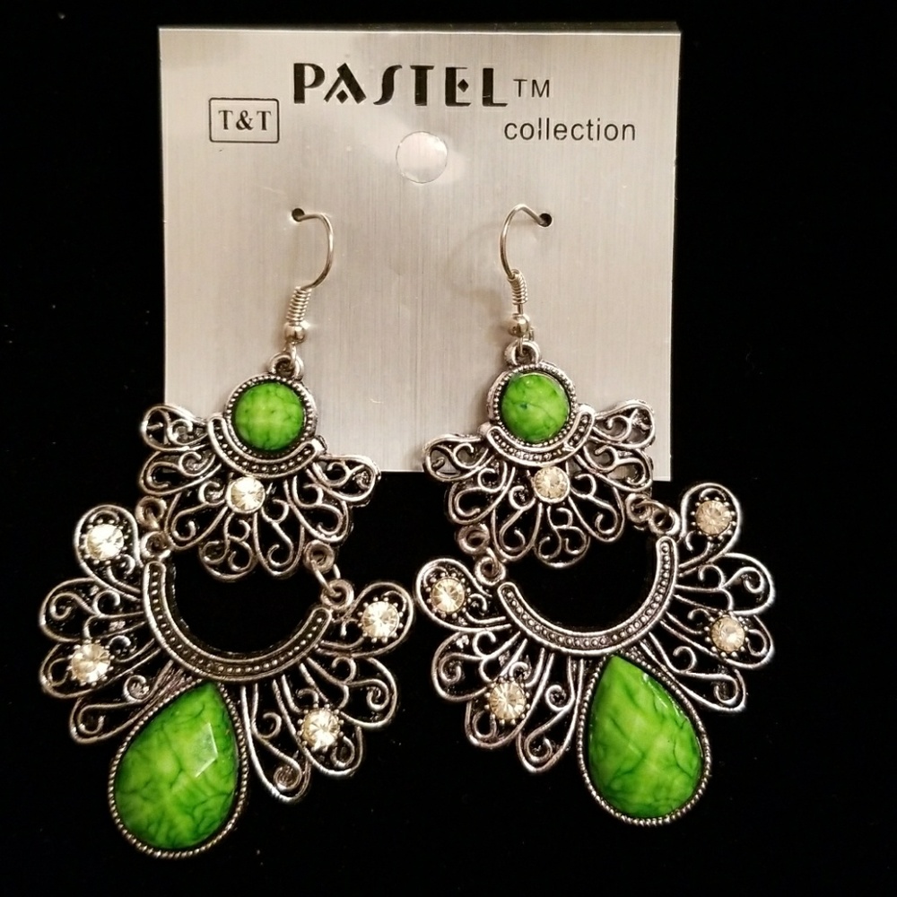 NWT Fashion Earrings