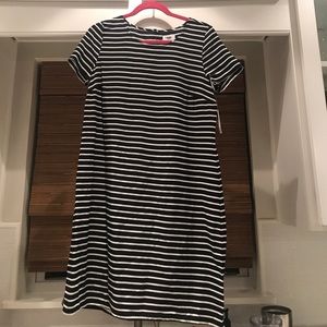 Navy and white sheath dress