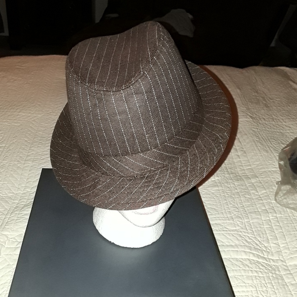 Brand new never worn pinstripe fedora