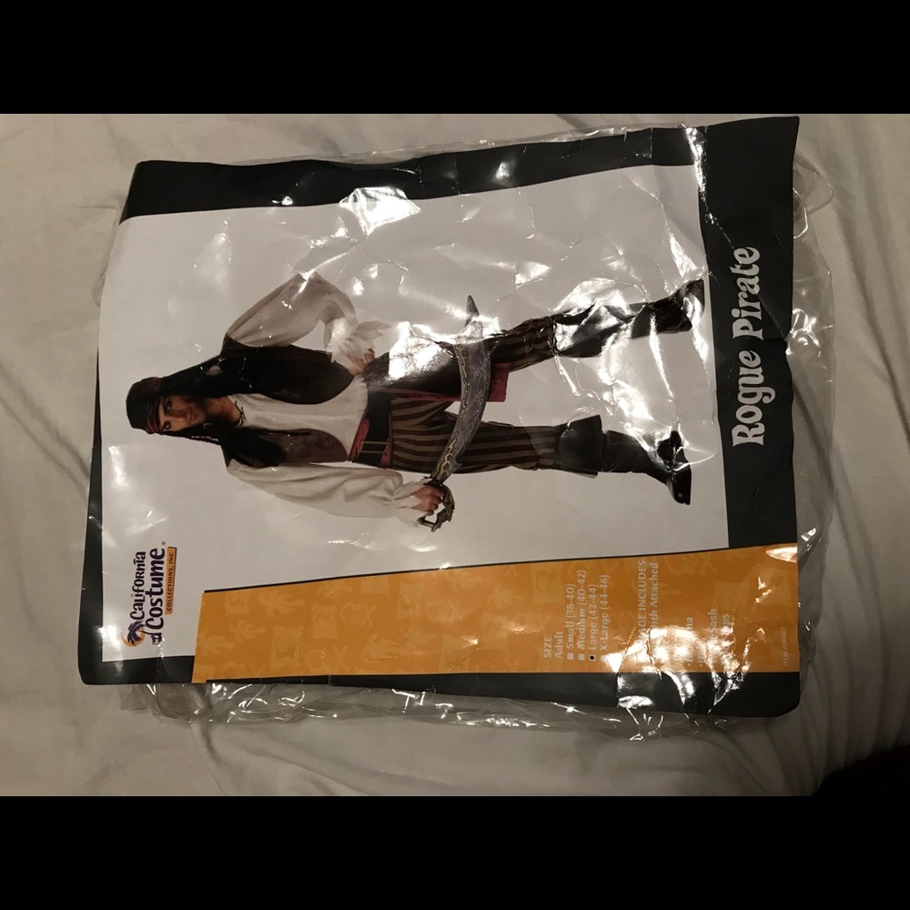 Men’s Rogue Pirate Costume