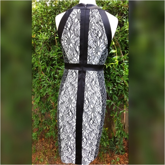 Cache Sheath Dress - Picture 2 of 6