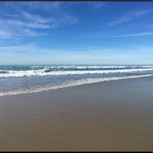 Meet your Posher, Niko