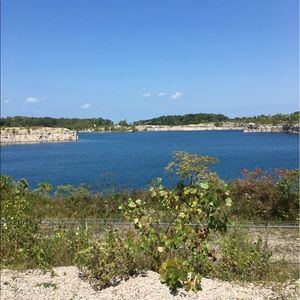 Meet your Posher, Clara