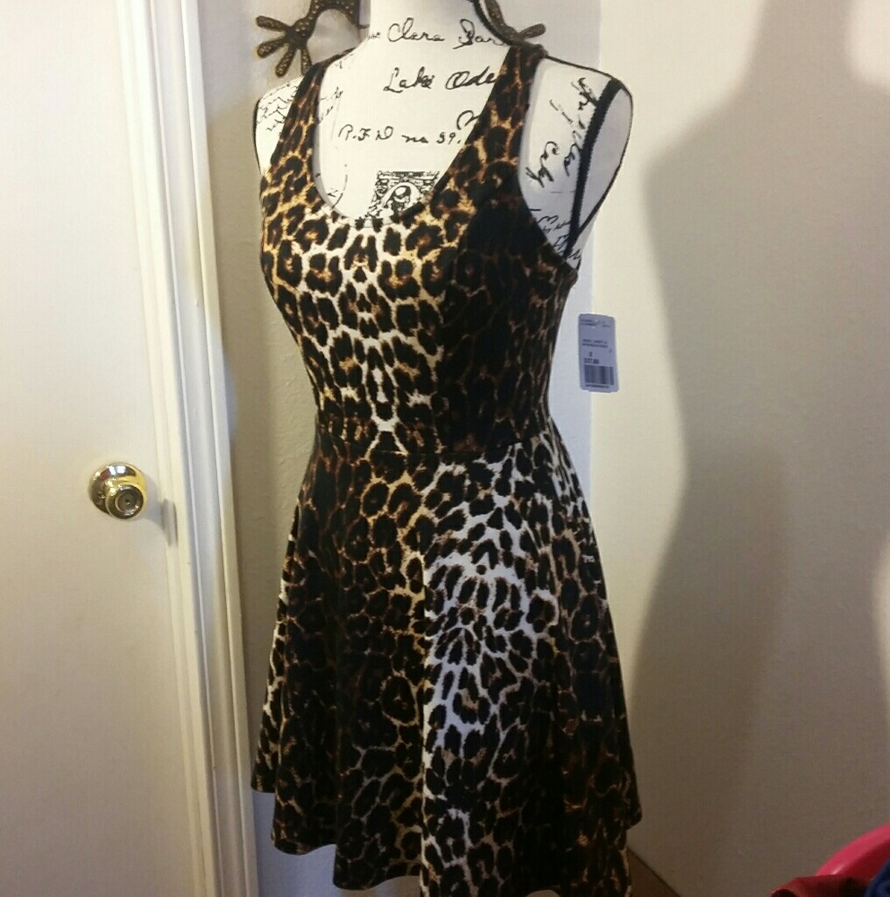 Animal Print Mini Dress