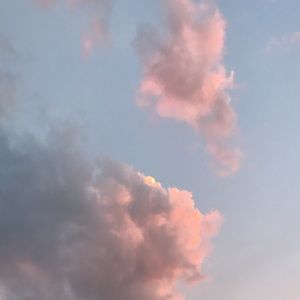 Meet your Posher, Kylie