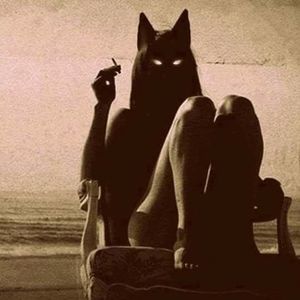 Meet your Posher, Shelagh