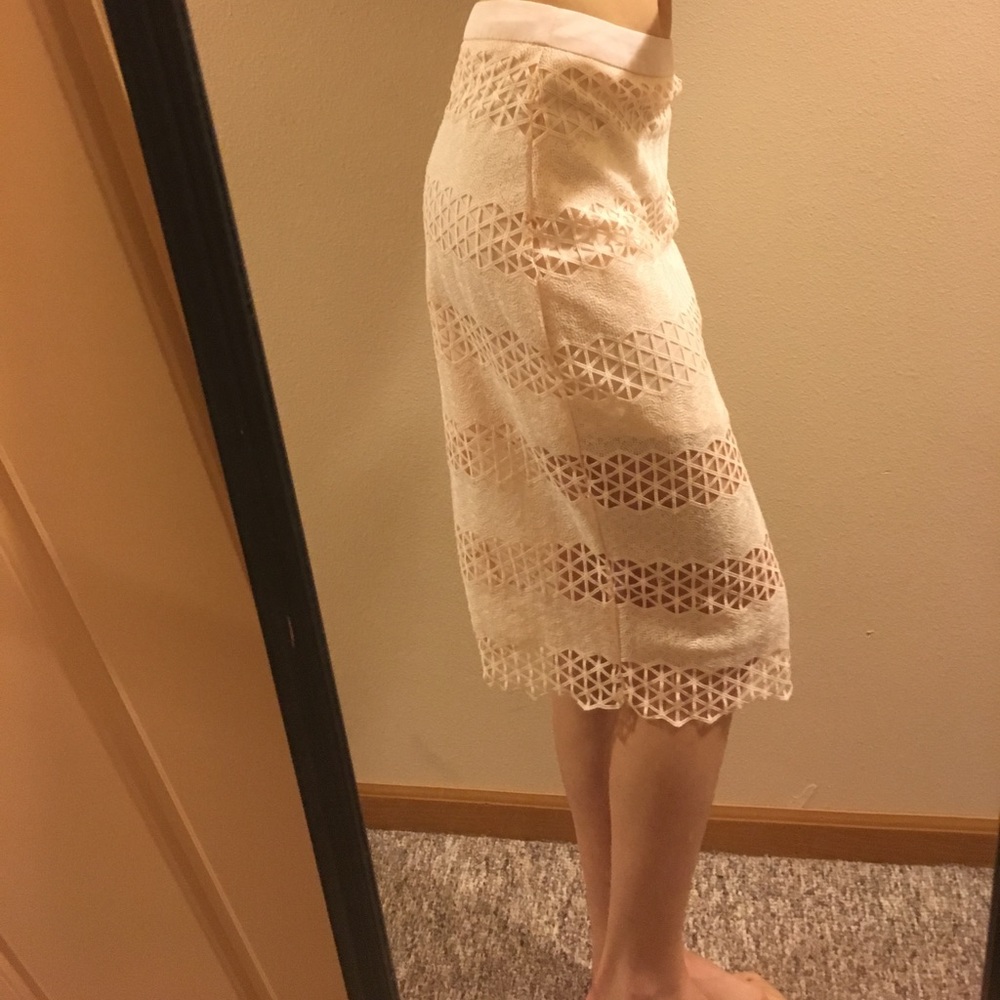 Skirt - Picture 3 of 3