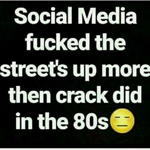 Meet your Posher, Joey