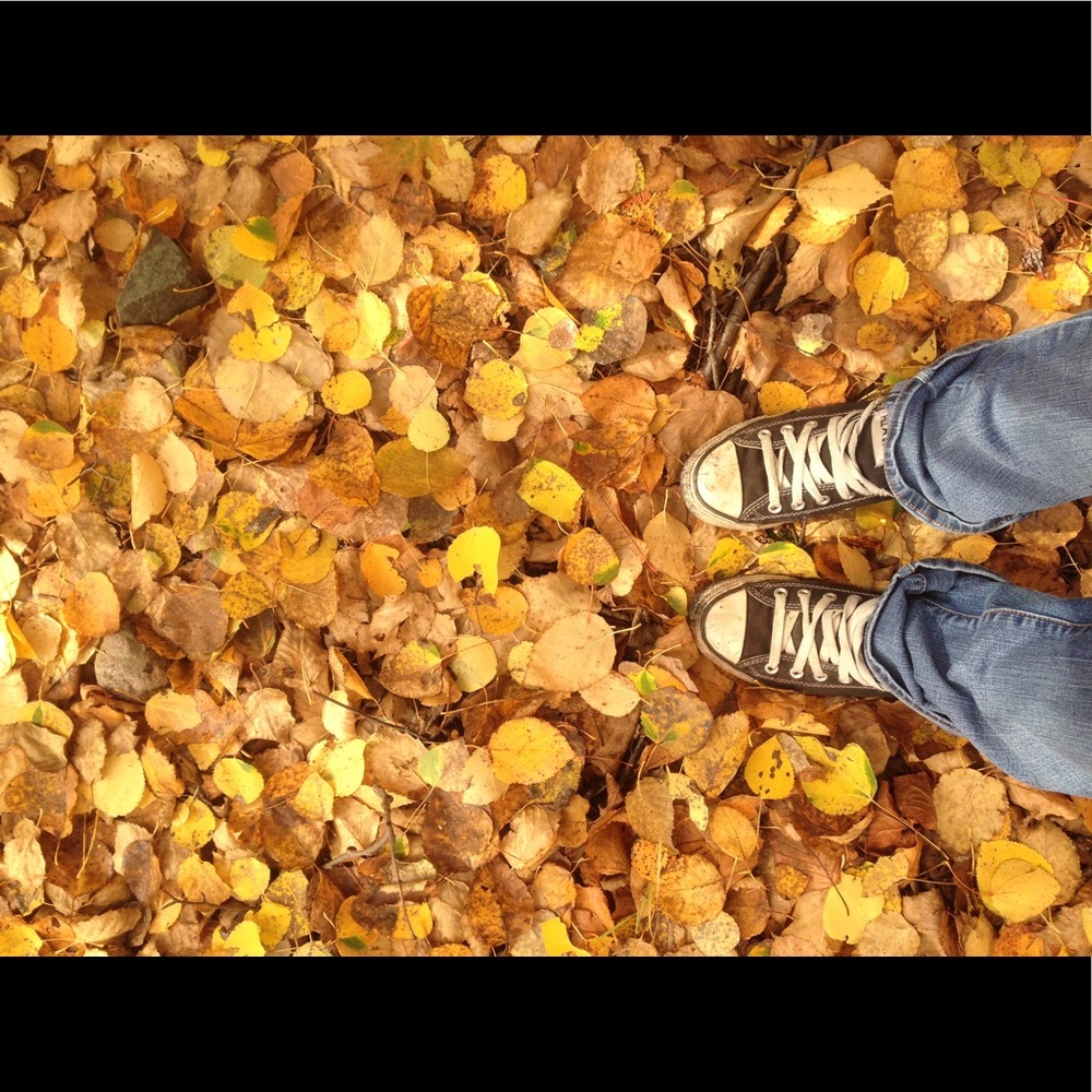 Meet your Posher, Jenna