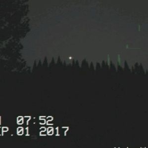 Meet your Posher, Damian