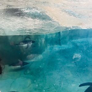 Meet your Posher, Adriana