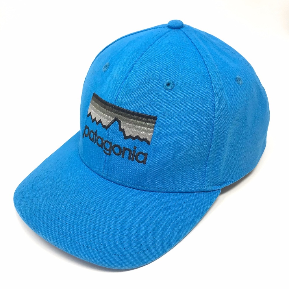 Patagonia Adjustable Hat