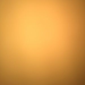 Meet your Posher, Breely