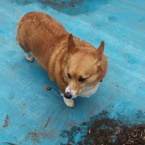 Meet your Posher, Sierra