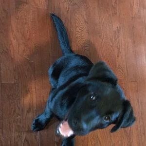 Meet your Posher, James