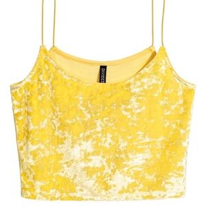 Velvet crop top