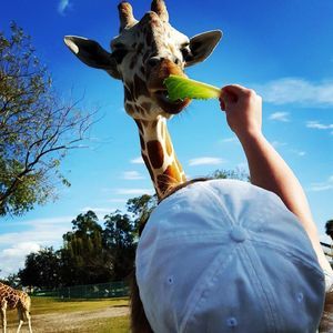 Meet your Posher, Cody