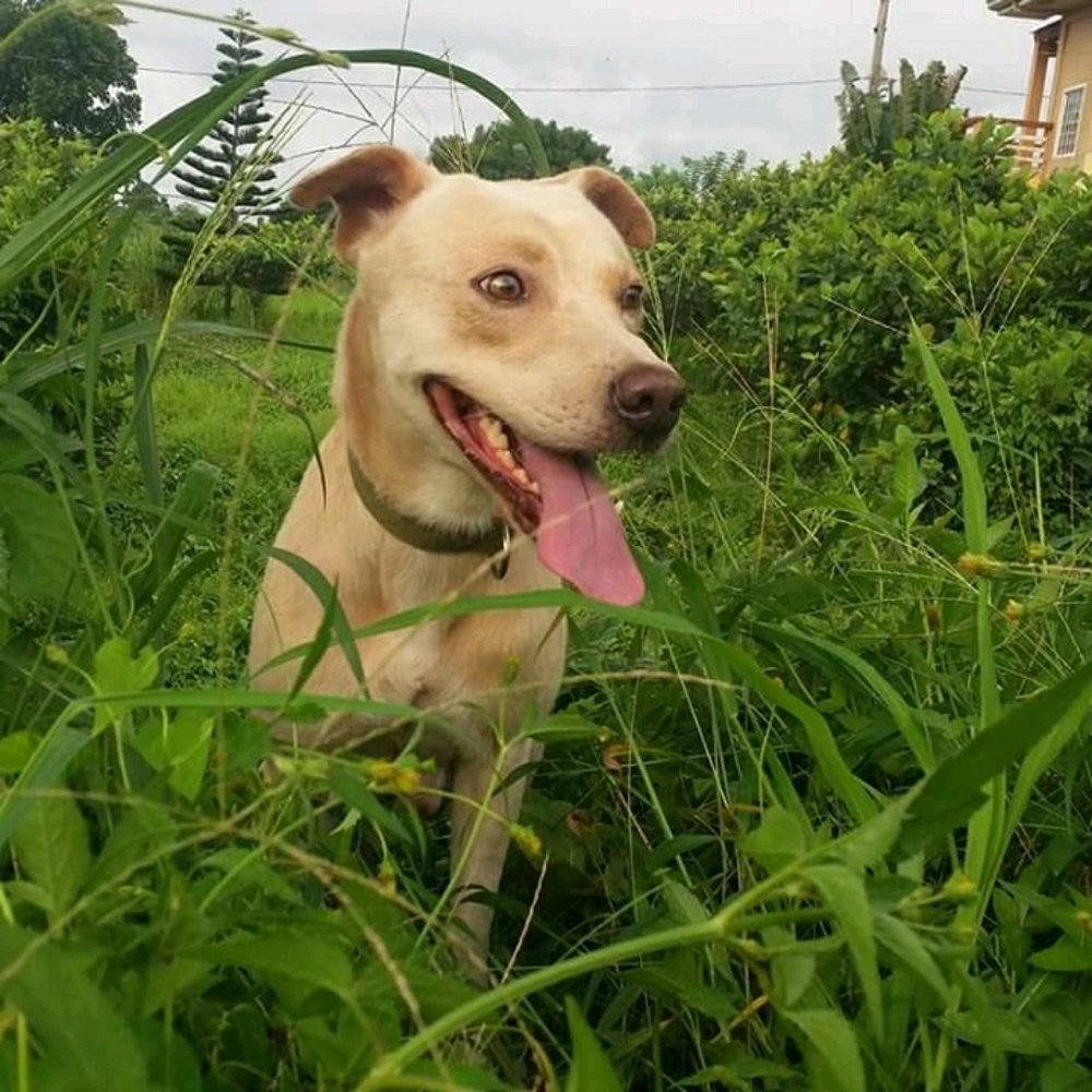 Meet your Posher, Mel