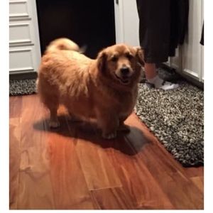 Meet your Posher, Kate