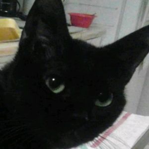 Meet your Posher, Kiki