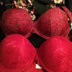 Ashley Stewart Butterfly Bras