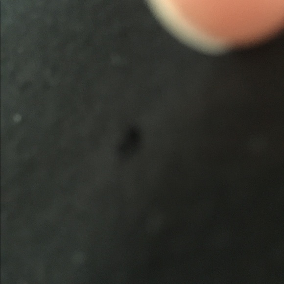 Rock and Rose Classic T Shirt - Picture 4 of 4