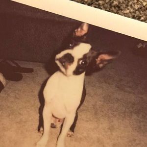 Meet your Posher, Addie