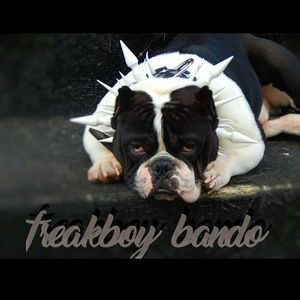 Meet your Posher, Mikey