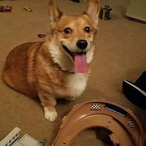 Meet your Posher, Sara