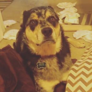 Meet your Posher, Paul