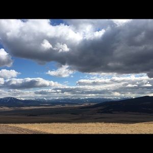 Meet your Posher, Elona