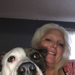 Meet your Posher, Janice