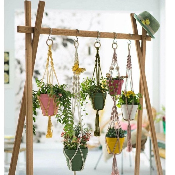 Meet your Posher, Elle - Picture 4 of 6