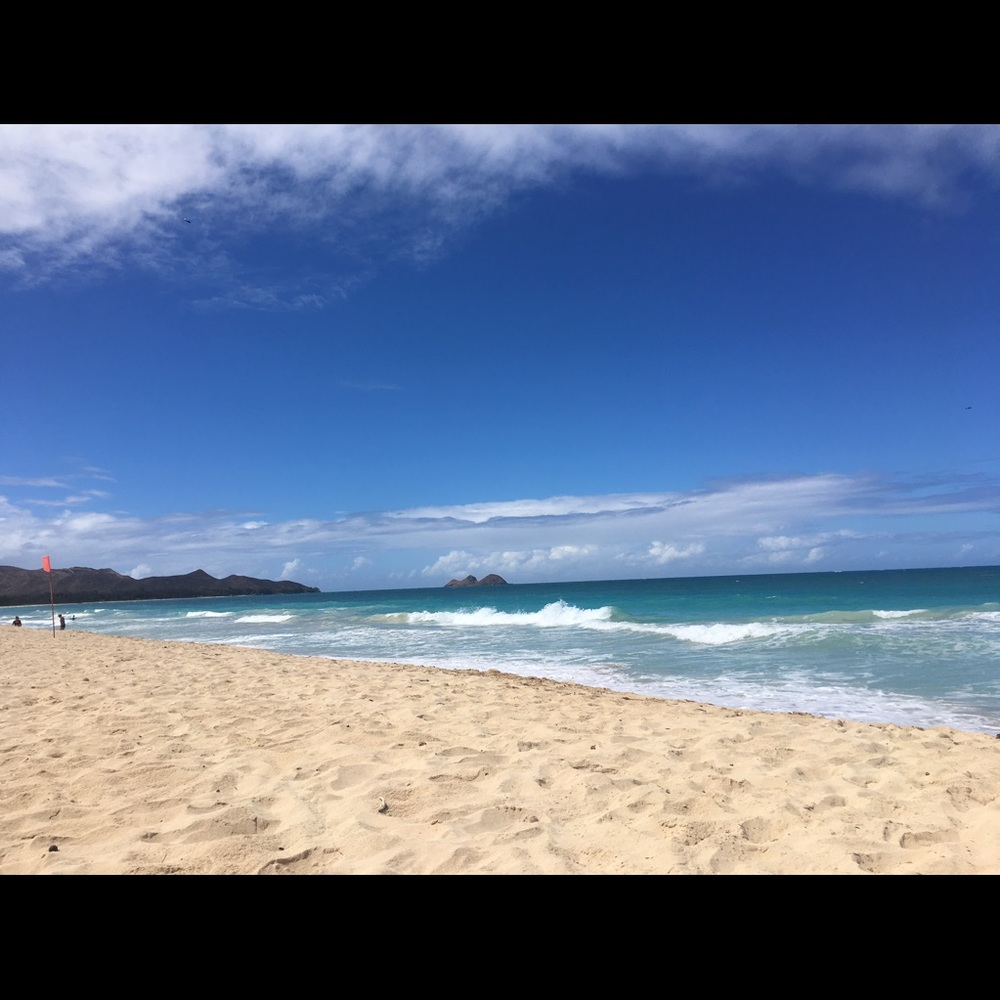 Meet your Posher, Sonia