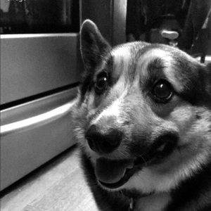 Meet your Posher, Alex