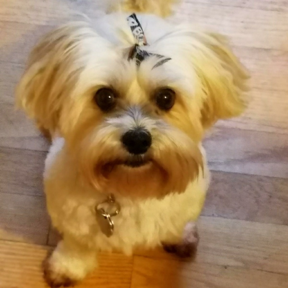 MAKE MY MOMMY A REASONABLE OFFER!!