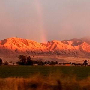 Meet your Posher, Sylvia